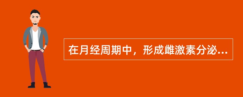 在月经周期中，形成雌激素分泌第二个高峰的直接原因是