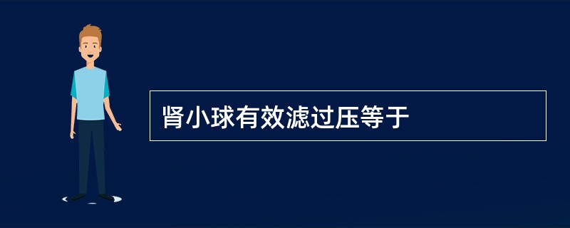肾小球有效滤过压等于