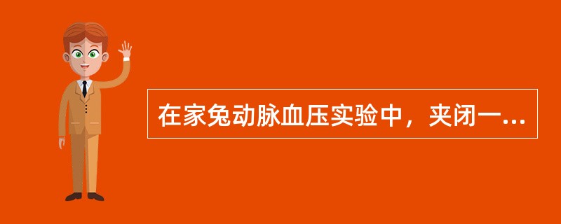 在家兔动脉血压实验中，夹闭一侧颈总动脉引起全身动脉血压升高，其主要原因是