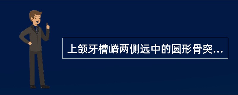 上颌牙槽嵴两侧远中的圆形骨突，总义齿基托应覆盖的部位