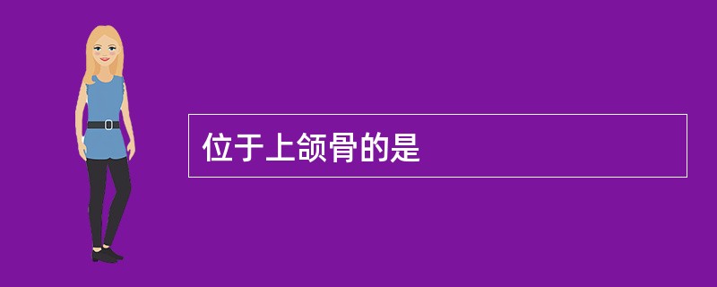 位于上颌骨的是