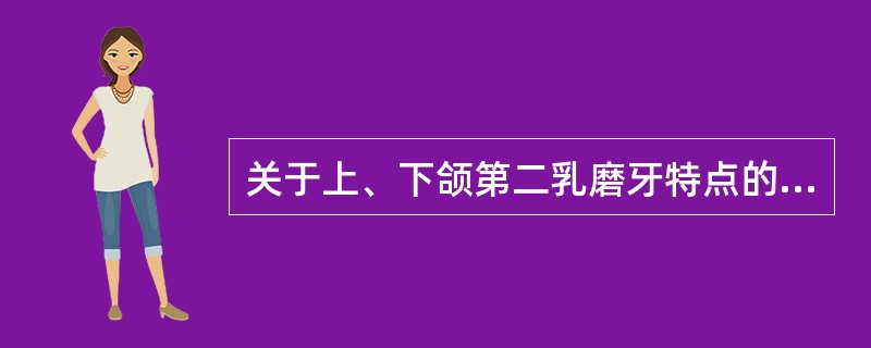 关于上、下颌第二乳磨牙特点的叙述错误的是