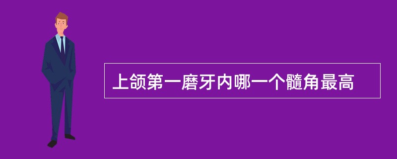 上颌第一磨牙内哪一个髓角最高