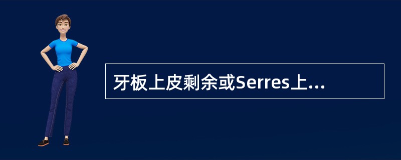 牙板上皮剩余或Serres上皮剩余可发生