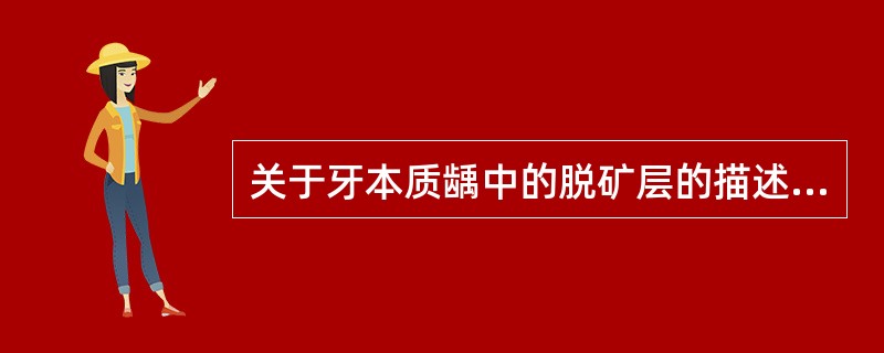 关于牙本质龋中的脱矿层的描述中，正确的是
