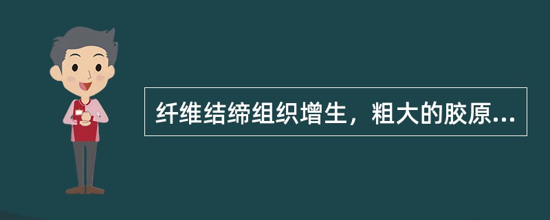 纤维结缔组织增生，粗大的胶原纤维束类似瘢痕组织结构，且炎症不明显等症状，属于以上哪项病理特征 