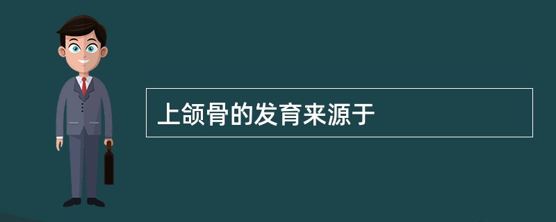 上颌骨的发育来源于
