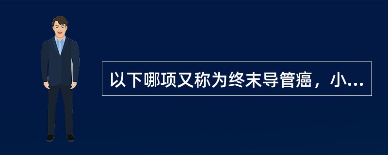 以下哪项又称为终末导管癌，小叶癌