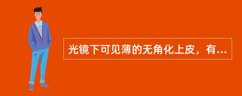 光镜下可见薄的无角化上皮，有上皮钉突伸入到结缔组织中，乳头层中常有炎症细胞浸润的上皮为 