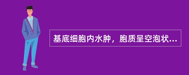 基底细胞内水肿，胞质呈空泡状，属于以上哪项的病理表现