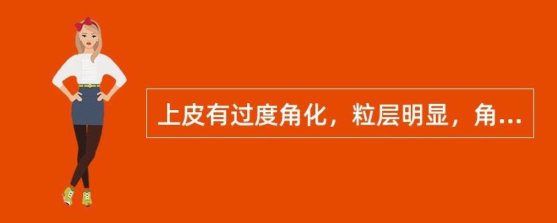 上皮有过度角化，粒层明显，角化层剥脱，可见角质栓塞，棘层变薄，基底细胞液化变性，基底膜不清晰，是以上哪种疾病的病理表现