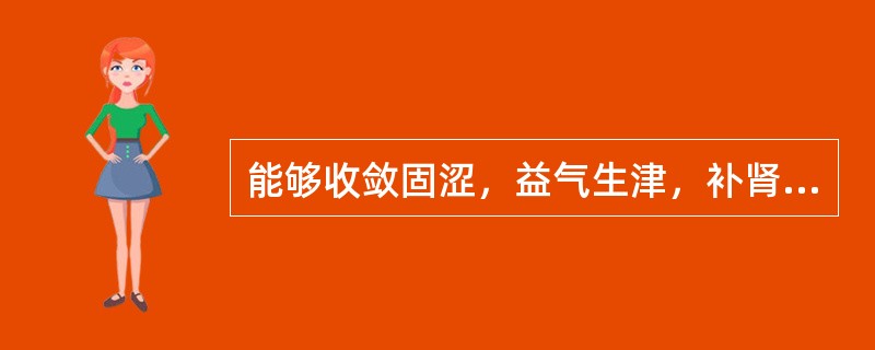 能够收敛固涩，益气生津，补肾宁心的药物是