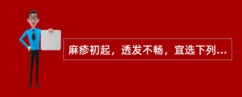 麻疹初起，透发不畅，宜选下列何组药物