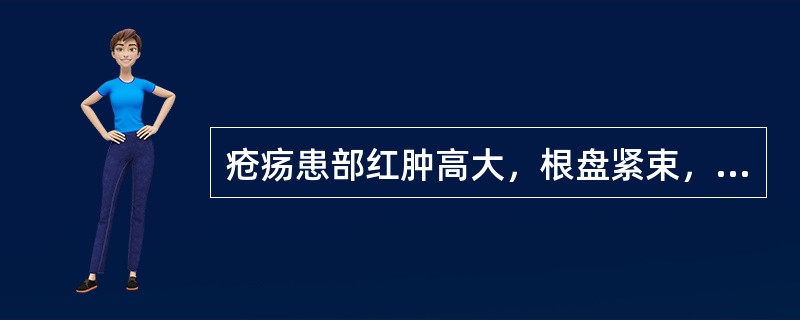 疮疡患部红肿高大，根盘紧束，伴有焮热疼痛者为