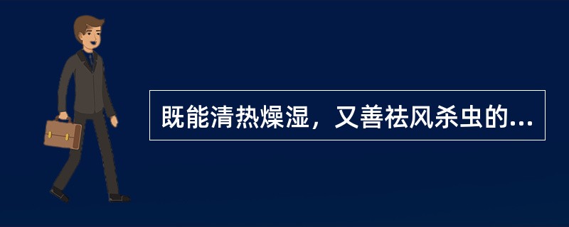 既能清热燥湿，又善祛风杀虫的药物是