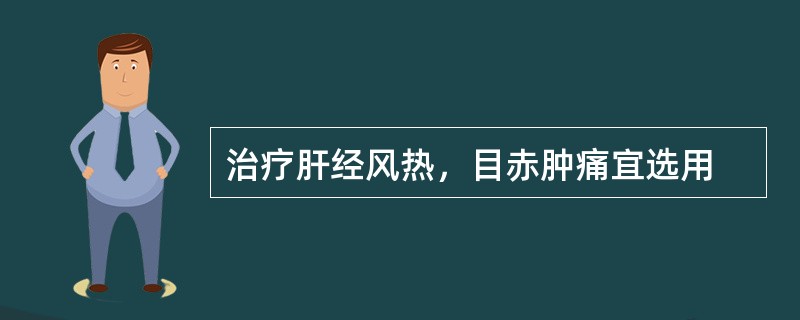 治疗肝经风热，目赤肿痛宜选用