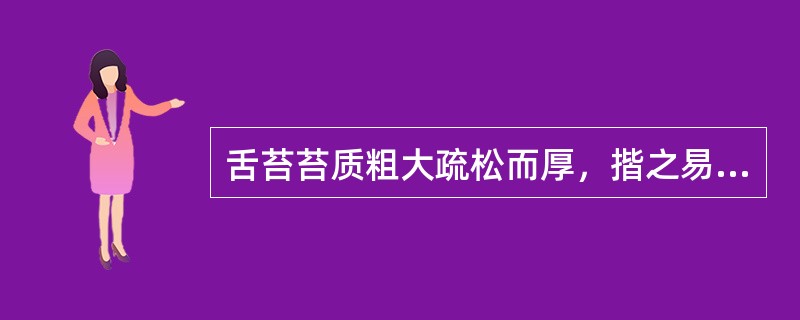 舌苔苔质粗大疏松而厚，揩之易去为