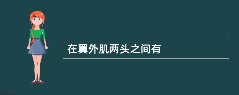 在翼外肌两头之间有 