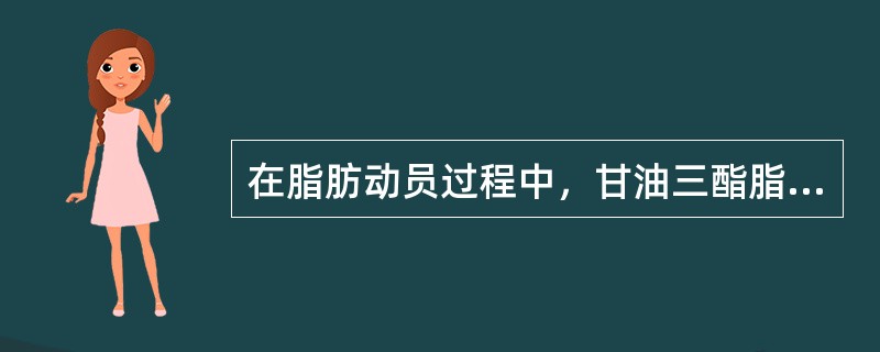 在脂肪动员过程中，甘油三酯脂肪酶是