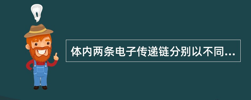 体内两条电子传递链分别以不同递氢体起始，经呼吸链最后将电子传递给氧，生成水。这两条电子传递链的交叉点是