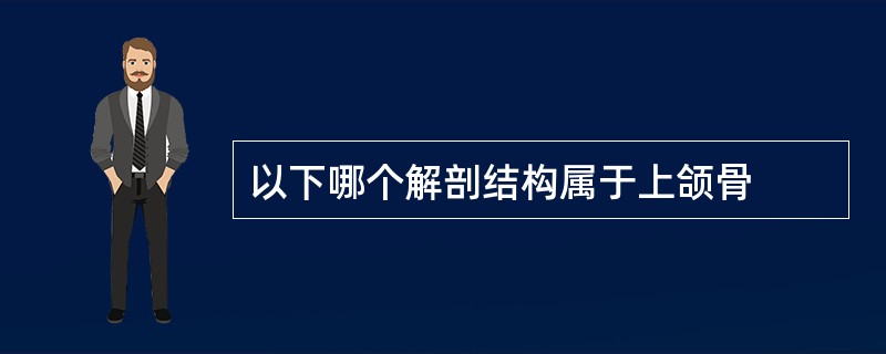 以下哪个解剖结构属于上颌骨