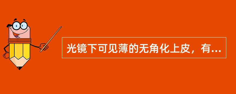 光镜下可见薄的无角化上皮，有上皮钉突伸入到结缔组织中，乳头层中常有炎症细胞浸润的上皮为