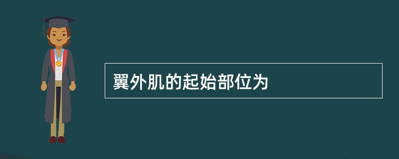 翼外肌的起始部位为