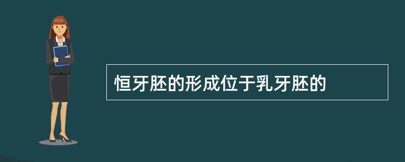 恒牙胚的形成位于乳牙胚的