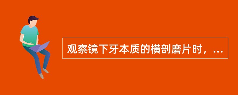 观察镜下牙本质的横剖磨片时，可见围绕成牙本质细胞突起的间质与其余部分不同，呈环形的透明带，称为