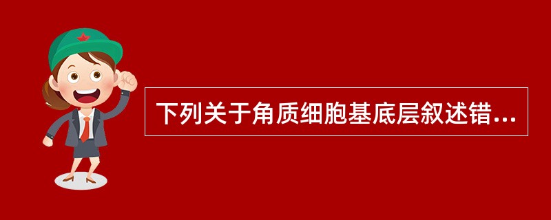 下列关于角质细胞基底层叙述错误的是