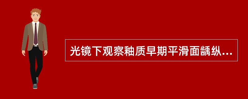 光镜下观察釉质早期平滑面龋纵磨片，叙述正确的是