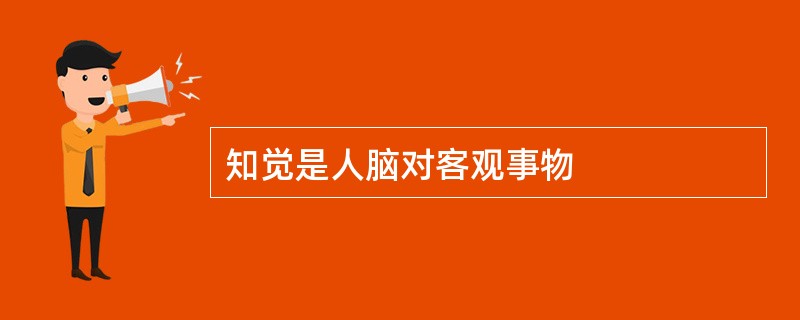 知觉是人脑对客观事物