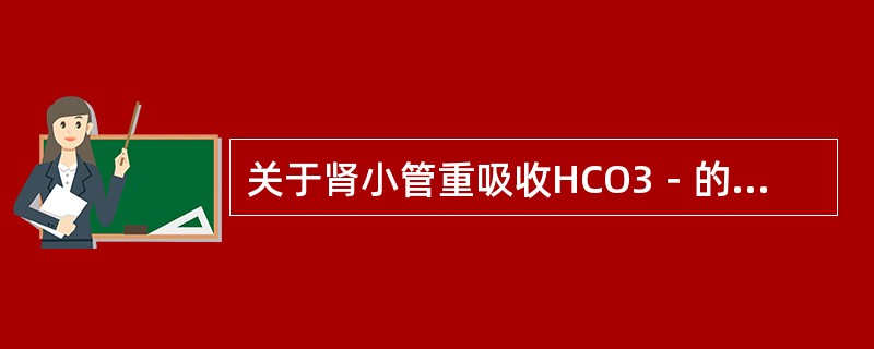 关于肾小管重吸收HCO3－的叙述，错误的是