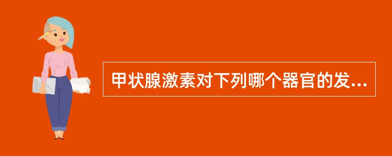 甲状腺激素对下列哪个器官的发育最为重要