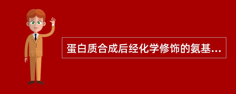 蛋白质合成后经化学修饰的氨基酸是