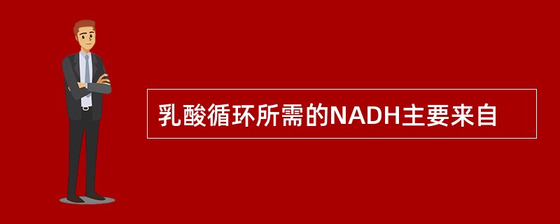 乳酸循环所需的NADH主要来自