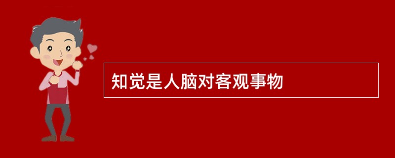 知觉是人脑对客观事物