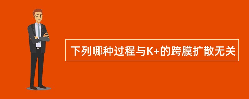 下列哪种过程与K+的跨膜扩散无关