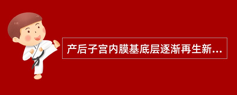 产后子宫内膜基底层逐渐再生新的功能层需要的时间约为