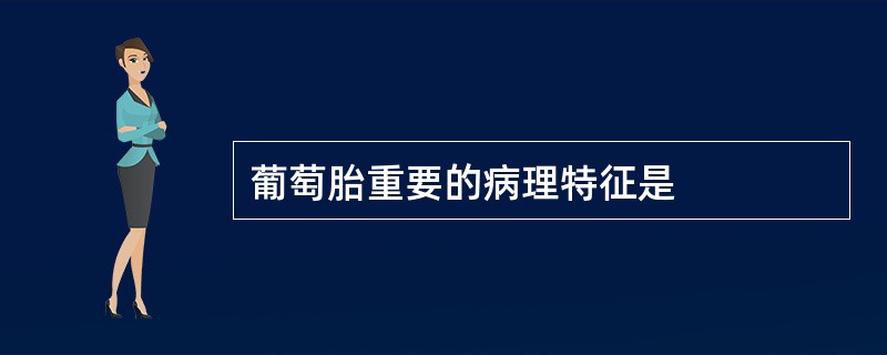 葡萄胎重要的病理特征是