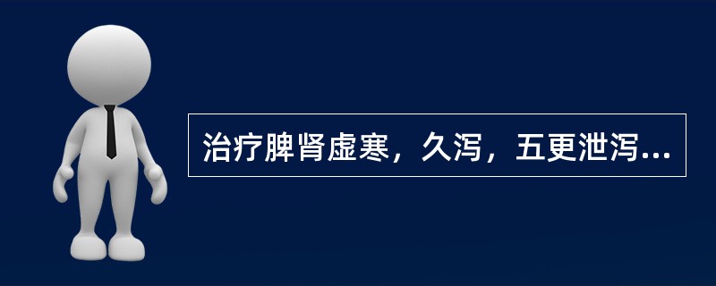 治疗脾肾虚寒，久泻，五更泄泻者，宜选用的药物是