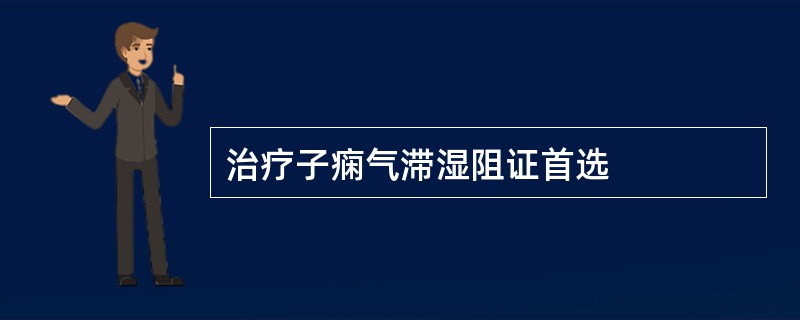 治疗子痫气滞湿阻证首选