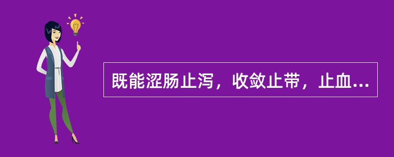 既能涩肠止泻，收敛止带，止血，又能清热燥湿的药物是