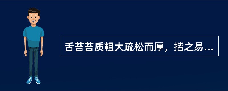 舌苔苔质粗大疏松而厚，揩之易去为