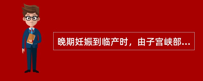 晚期妊娠到临产时，由子宫峡部形成