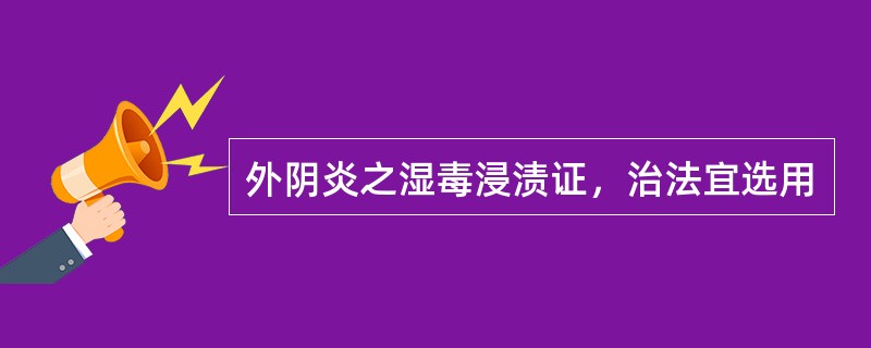 外阴炎之湿毒浸渍证，治法宜选用