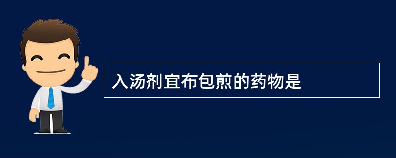 入汤剂宜布包煎的药物是