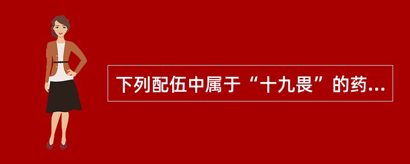 下列配伍中属于“十九畏”的药物是