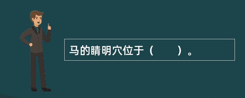 马的睛明穴位于（　　）。
