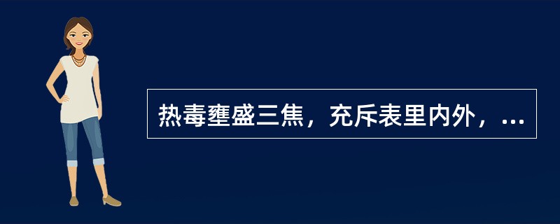 热毒壅盛三焦，充斥表里内外，治疗宜选用的方剂为（　　）。